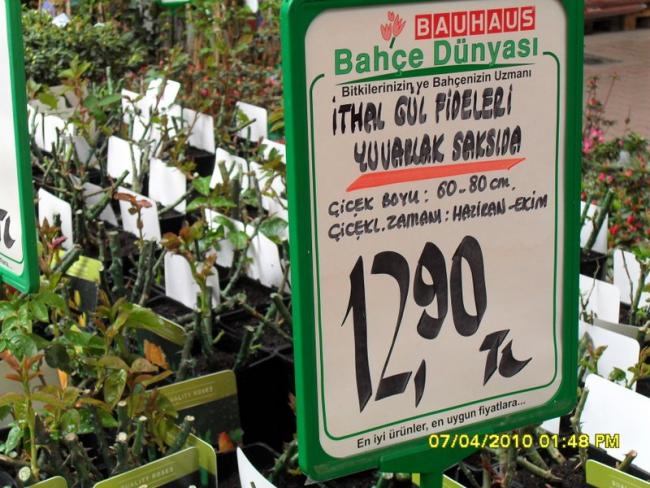 Name:  SDC12207.jpg
Views: 806
Size:  68.4 KB