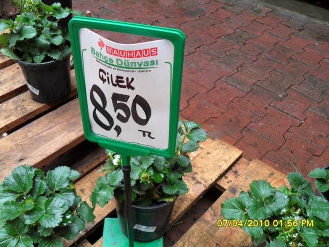 Name:  SDC12220.jpg
Views: 1117
Size:  62.9 KB