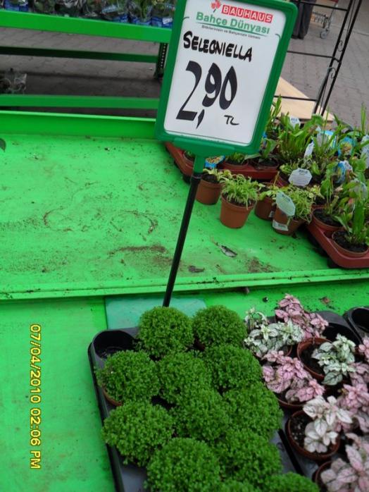 Name:  SDC12226.jpg
Views: 1084
Size:  69.3 KB