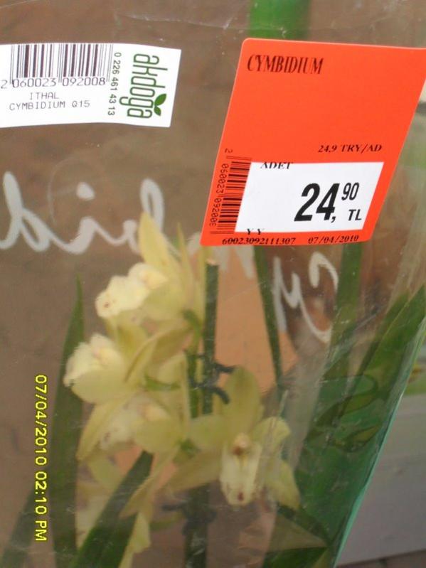 Name:  SDC12229.jpg
Views: 1128
Size:  45.7 KB