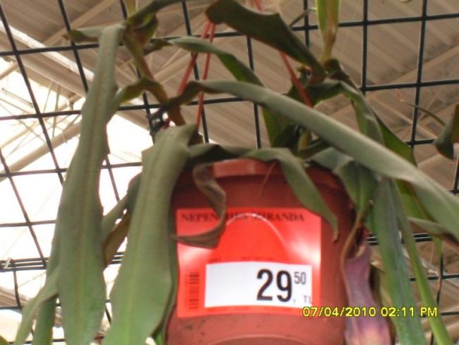 Name:  SDC12235.jpg
Views: 1095
Size:  41.6 KB