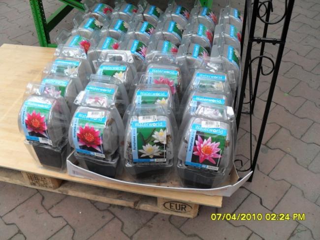 Name:  SDC12240.jpg
Views: 1130
Size:  55.0 KB