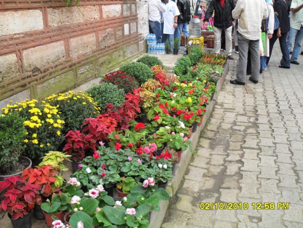 Name:  002.jpg
Views: 2983
Size:  71.7 KB