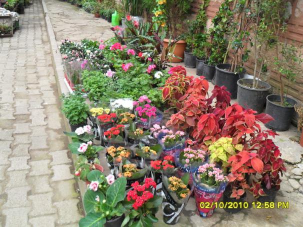Name:  003.jpg
Views: 3946
Size:  71.4 KB