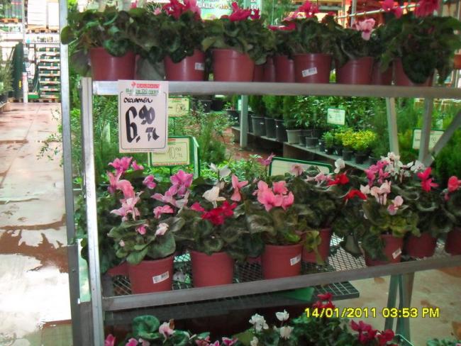 Name:  013.jpg
Views: 1130
Size:  63.0 KB