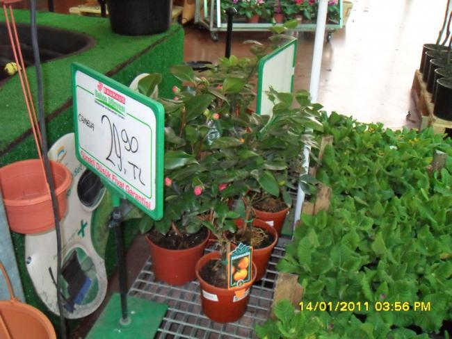 Name:  017.jpg
Views: 1152
Size:  56.4 KB