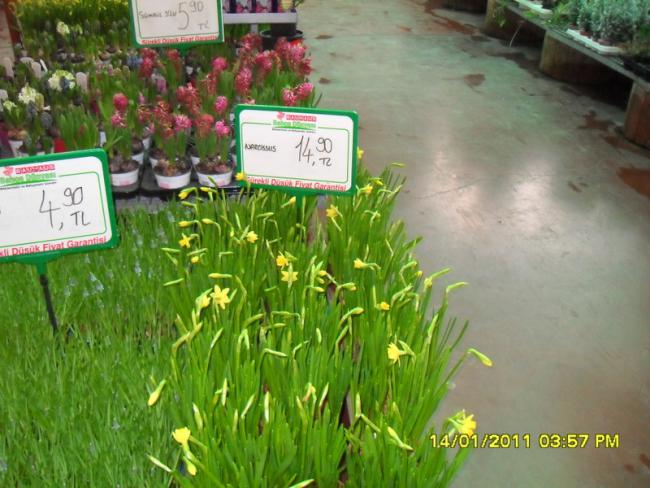 Name:  019.jpg
Views: 1123
Size:  54.4 KB