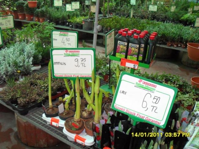 Name:  020.jpg
Views: 1141
Size:  69.1 KB