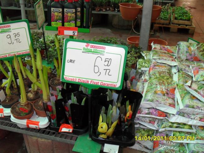 Name:  021.jpg
Views: 1104
Size:  64.5 KB