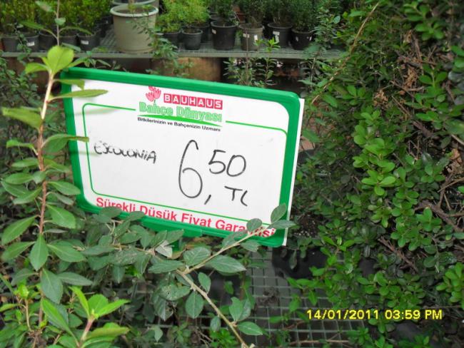 Name:  025.jpg
Views: 1133
Size:  67.8 KB