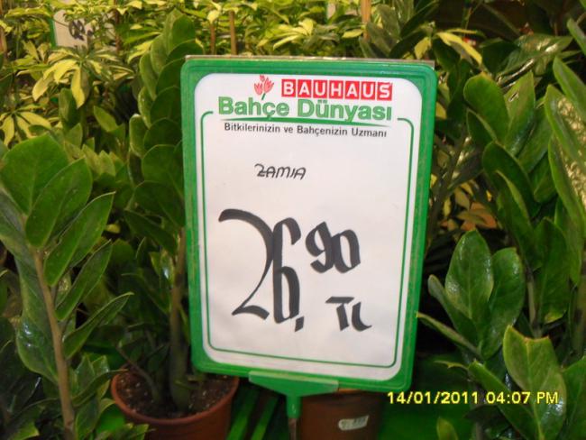 Name:  035.jpg
Views: 1121
Size:  52.9 KB
