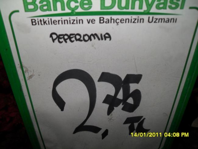 Name:  037.jpg
Views: 1067
Size:  32.0 KB
