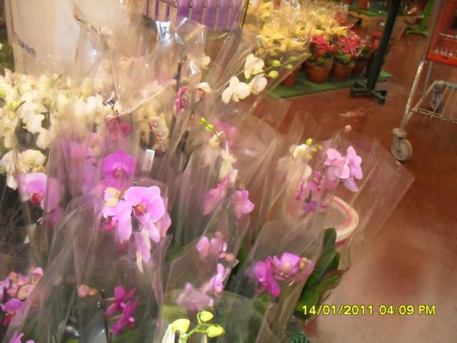 Name:  041.jpg
Views: 1118
Size:  45.8 KB