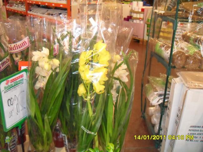 Name:  042.jpg
Views: 1512
Size:  57.5 KB