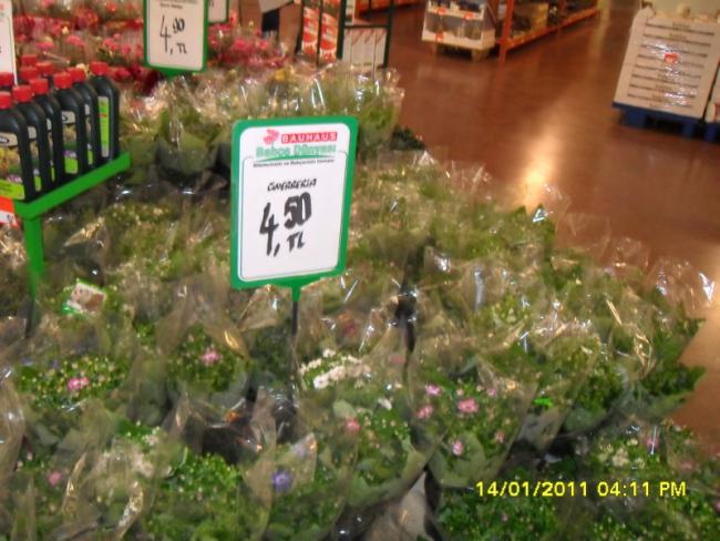 Name:  044.jpg
Views: 1485
Size:  54.1 KB