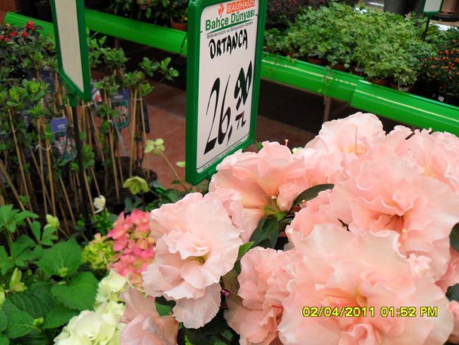 Name:  031.jpg
Views: 1326
Size:  56.0 KB