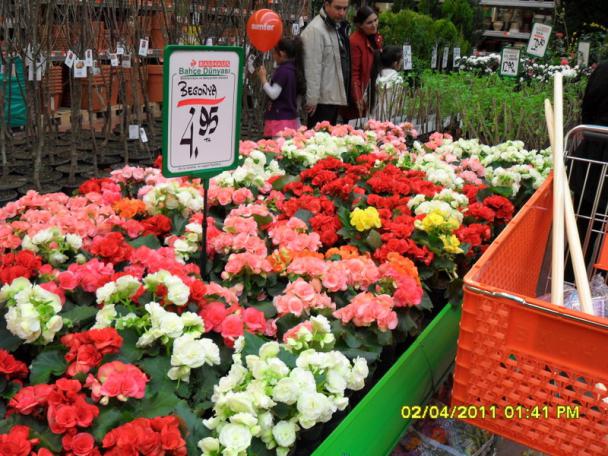 Name:  011.jpg
Views: 1191
Size:  72.1 KB