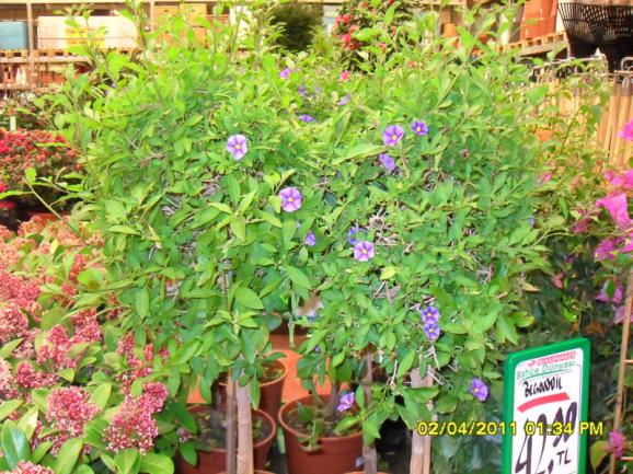 Name:  002.jpg
Views: 1212
Size:  73.7 KB