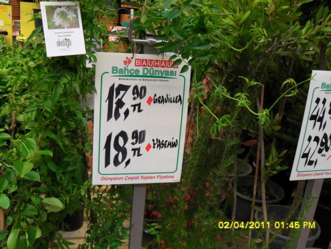 Name:  017.jpg
Views: 1578
Size:  65.0 KB