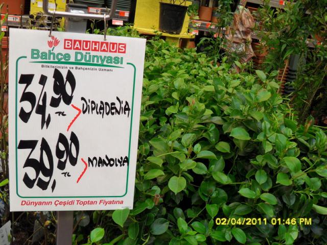 Name:  018.jpg
Views: 1947
Size:  70.0 KB