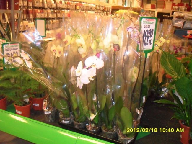 Name:  005-1.jpg
Views: 5463
Size:  56.9 KB