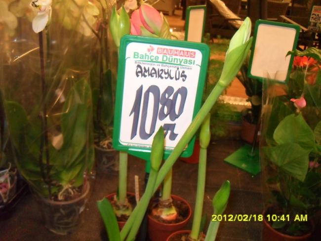 Name:  007-1.jpg
Views: 3419
Size:  44.7 KB