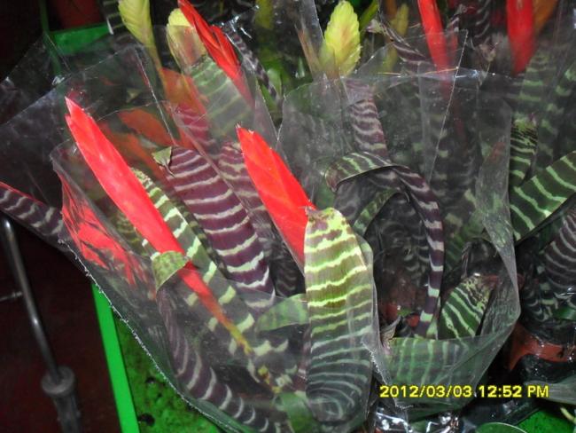 Name:  004.jpg
Views: 1499
Size:  54.9 KB
