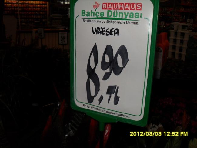 Name:  005.jpg
Views: 1453
Size:  29.9 KB