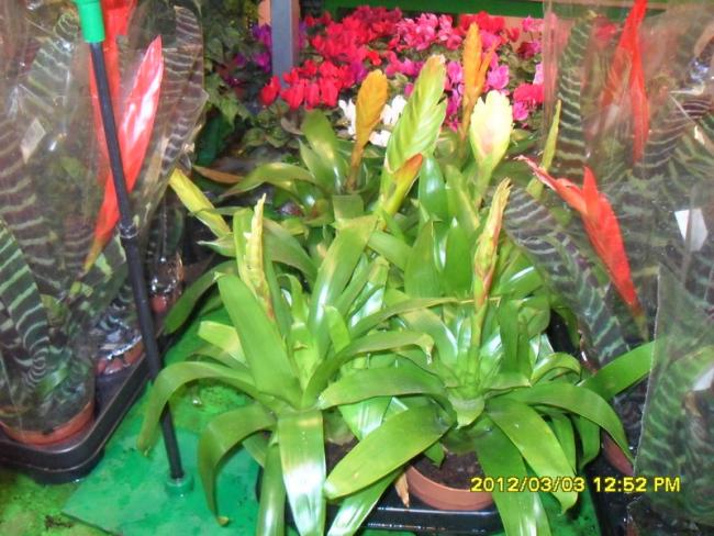 Name:  006.jpg
Views: 1086
Size:  60.7 KB
