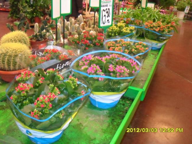 Name:  007.jpg
Views: 1106
Size:  62.1 KB