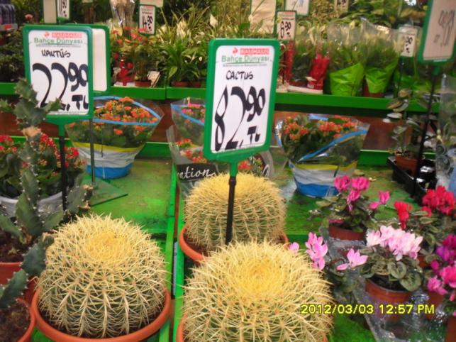 Name:  014.jpg
Views: 2069
Size:  71.0 KB