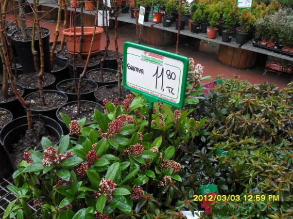 Name:  015.jpg
Views: 1519
Size:  72.2 KB