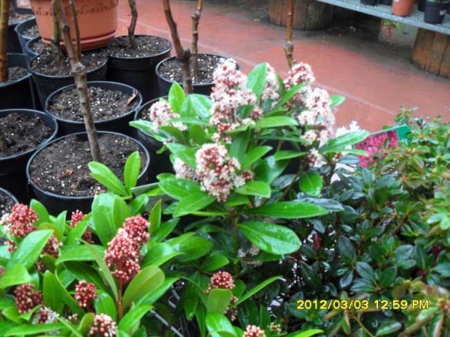 Name:  016.jpg
Views: 1490
Size:  68.2 KB