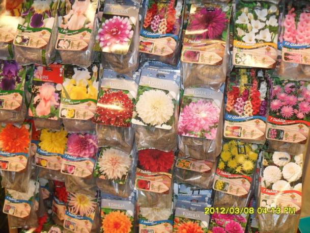 Name:  002.jpg
Views: 1496
Size:  72.5 KB