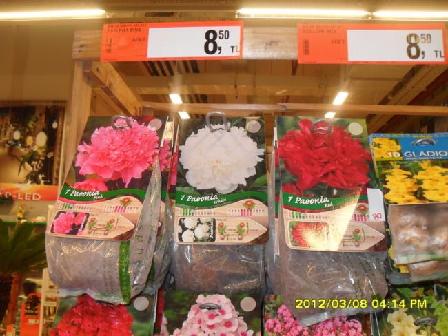 Name:  004.jpg
Views: 1477
Size:  58.4 KB