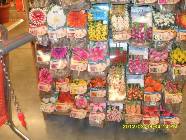 Name:  006.jpg
Views: 1420
Size:  67.8 KB