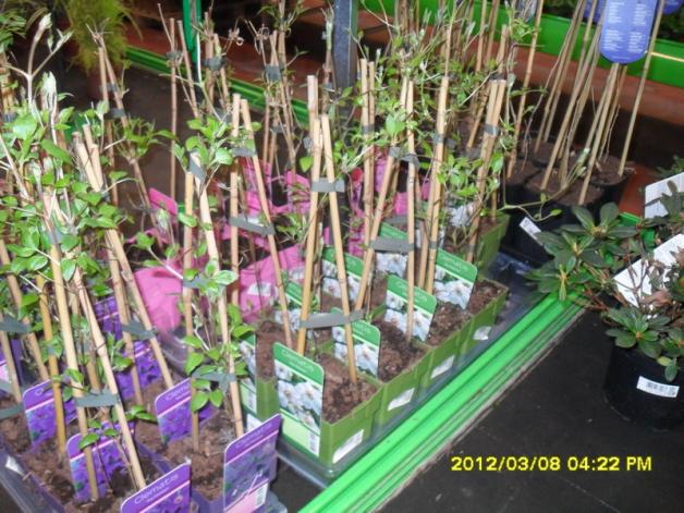 Name:  013.jpg
Views: 1413
Size:  71.2 KB