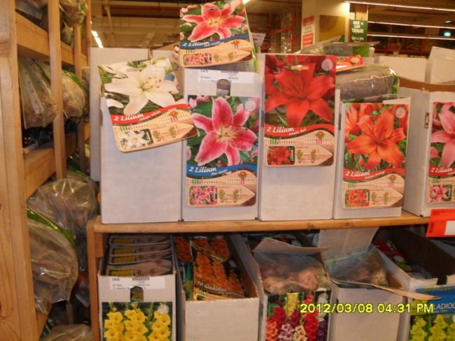 Name:  017.jpg
Views: 1409
Size:  55.7 KB