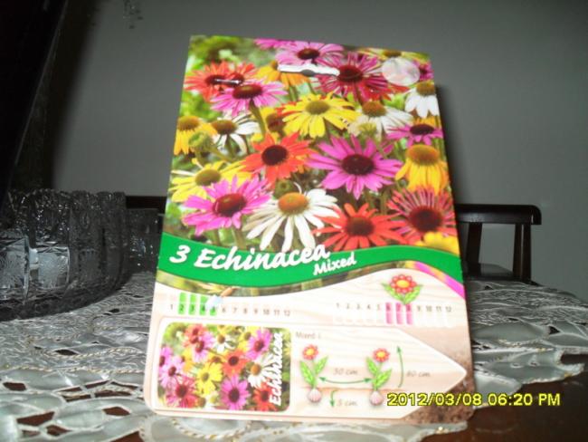 Name:  049.jpg
Views: 1786
Size:  49.3 KB