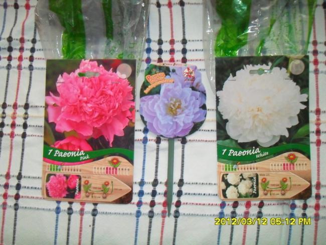 Name:  007.jpg
Views: 2284
Size:  55.8 KB