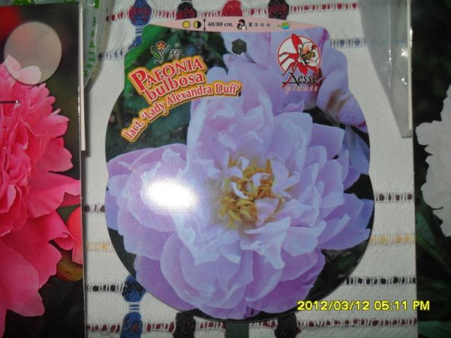Name:  003.jpg
Views: 2312
Size:  46.2 KB
