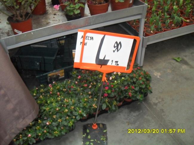 Name:  028.jpg
Views: 1872
Size:  46.8 KB