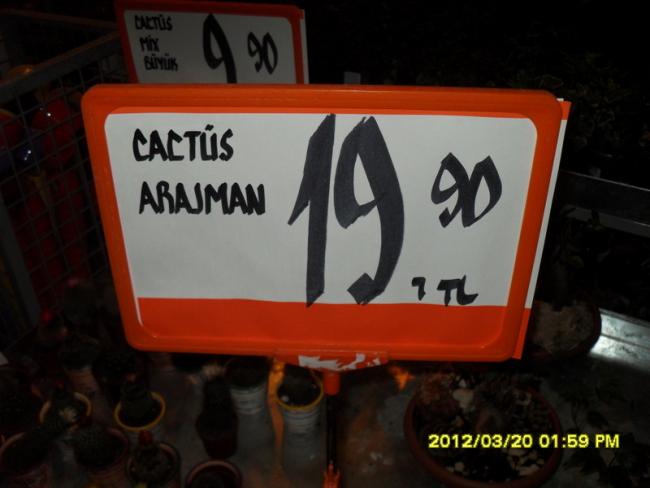 Name:  031.jpg
Views: 1888
Size:  31.8 KB