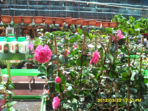 Name:  016.jpg
Views: 2322
Size:  72.7 KB
