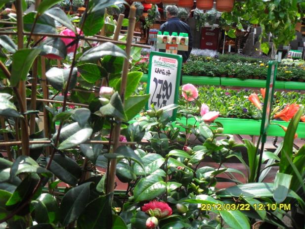Name:  019.jpg
Views: 2550
Size:  71.5 KB