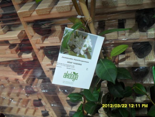Name:  020.jpg
Views: 2183
Size:  46.1 KB