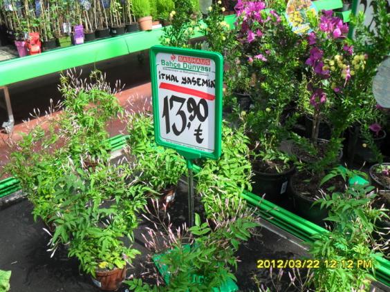 Name:  024.jpg
Views: 2267
Size:  73.8 KB