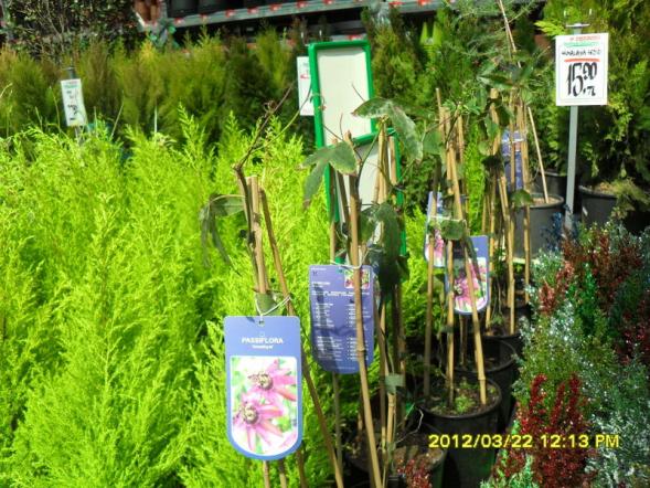 Name:  032.jpg
Views: 1800
Size:  72.6 KB