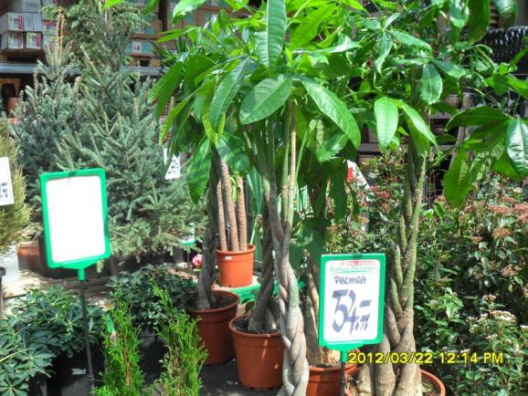 Name:  033.jpg
Views: 1941
Size:  73.6 KB