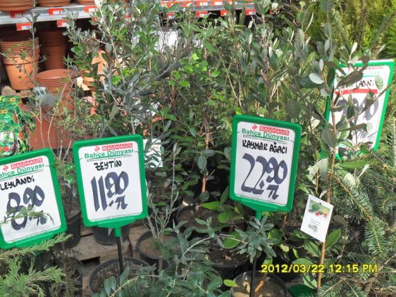 Name:  035.jpg
Views: 1745
Size:  73.3 KB